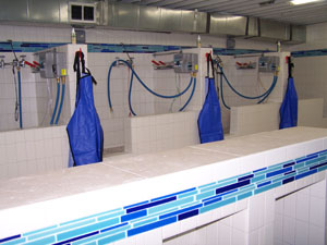 Bathing Tubs