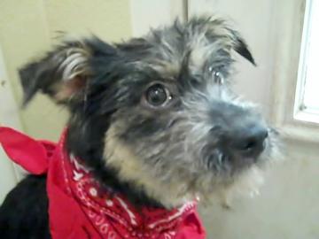 Winnie